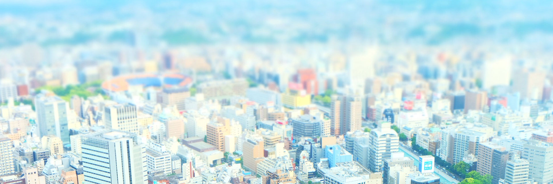 仮スライドイメージ